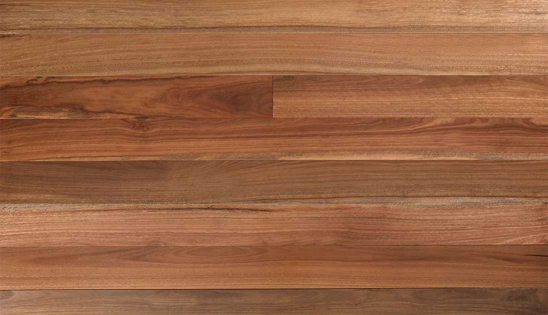Australian Spotted Gum