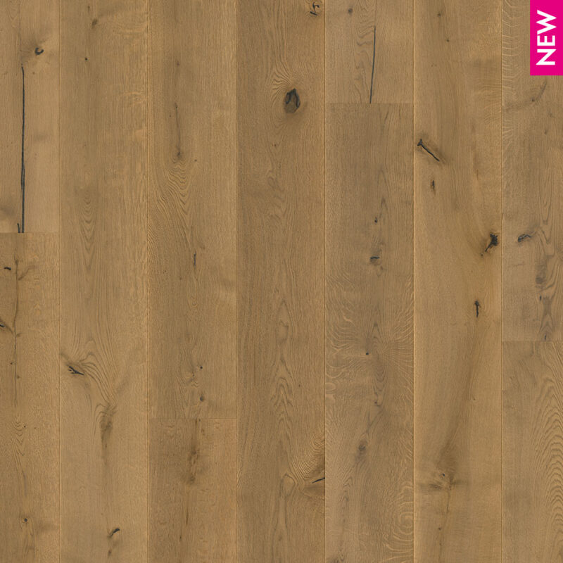 Massimo Dark Chocolate Oak Extra Matt