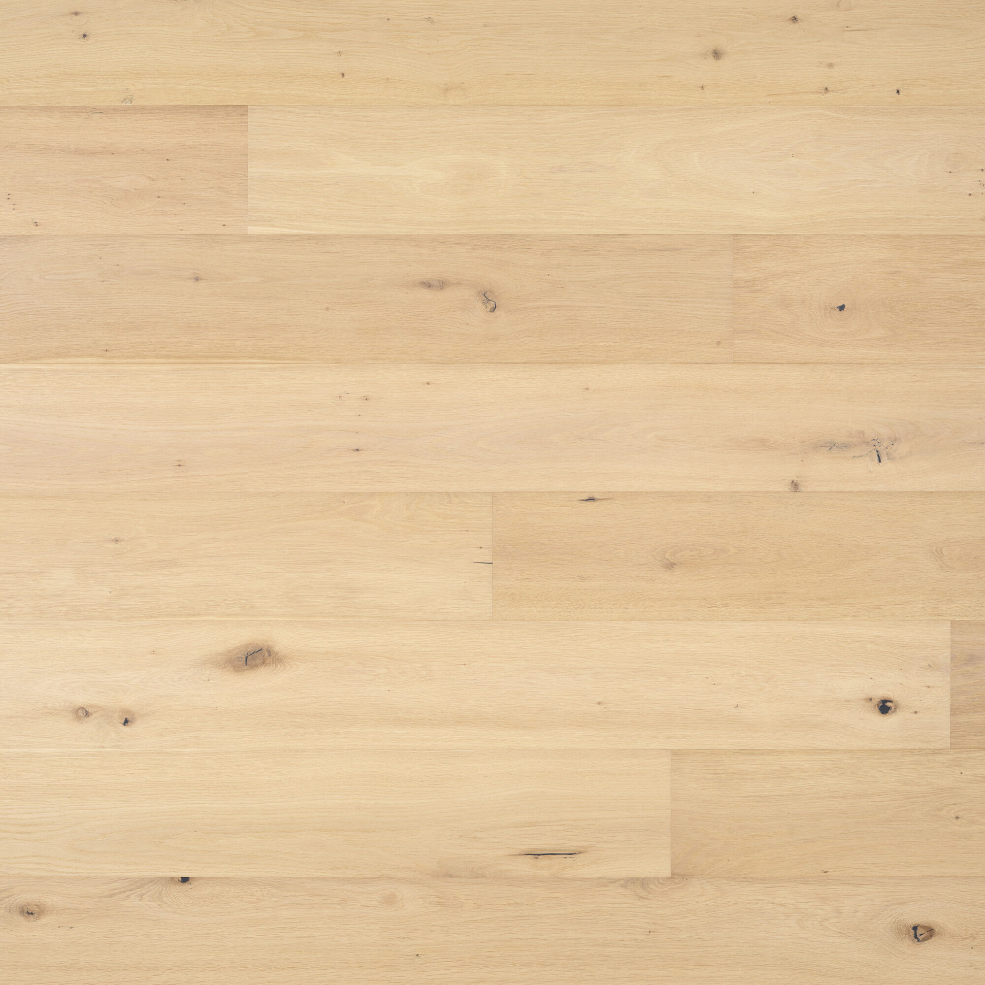 Amendo Wildoak Donato Engineered Timber Flooring - Lux Flooring