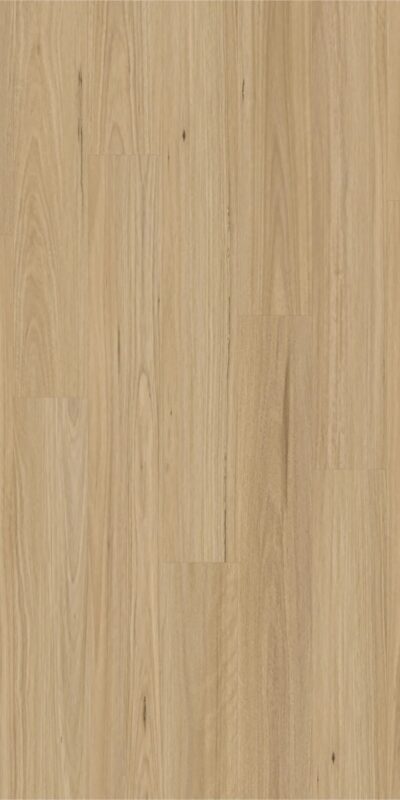 new england blackbutt 1