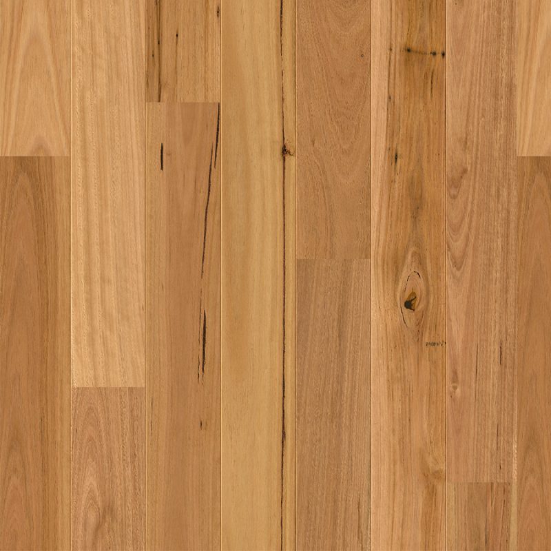 Quick-Step Amato Blackbutt Oak