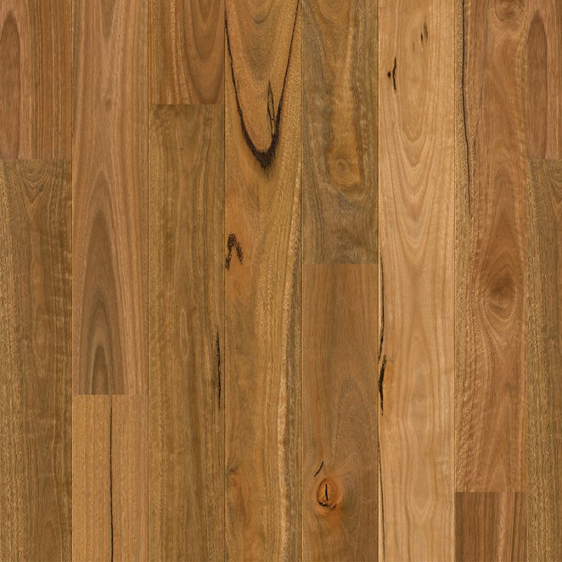 Quick-Step Amato Spotted Gum Oak