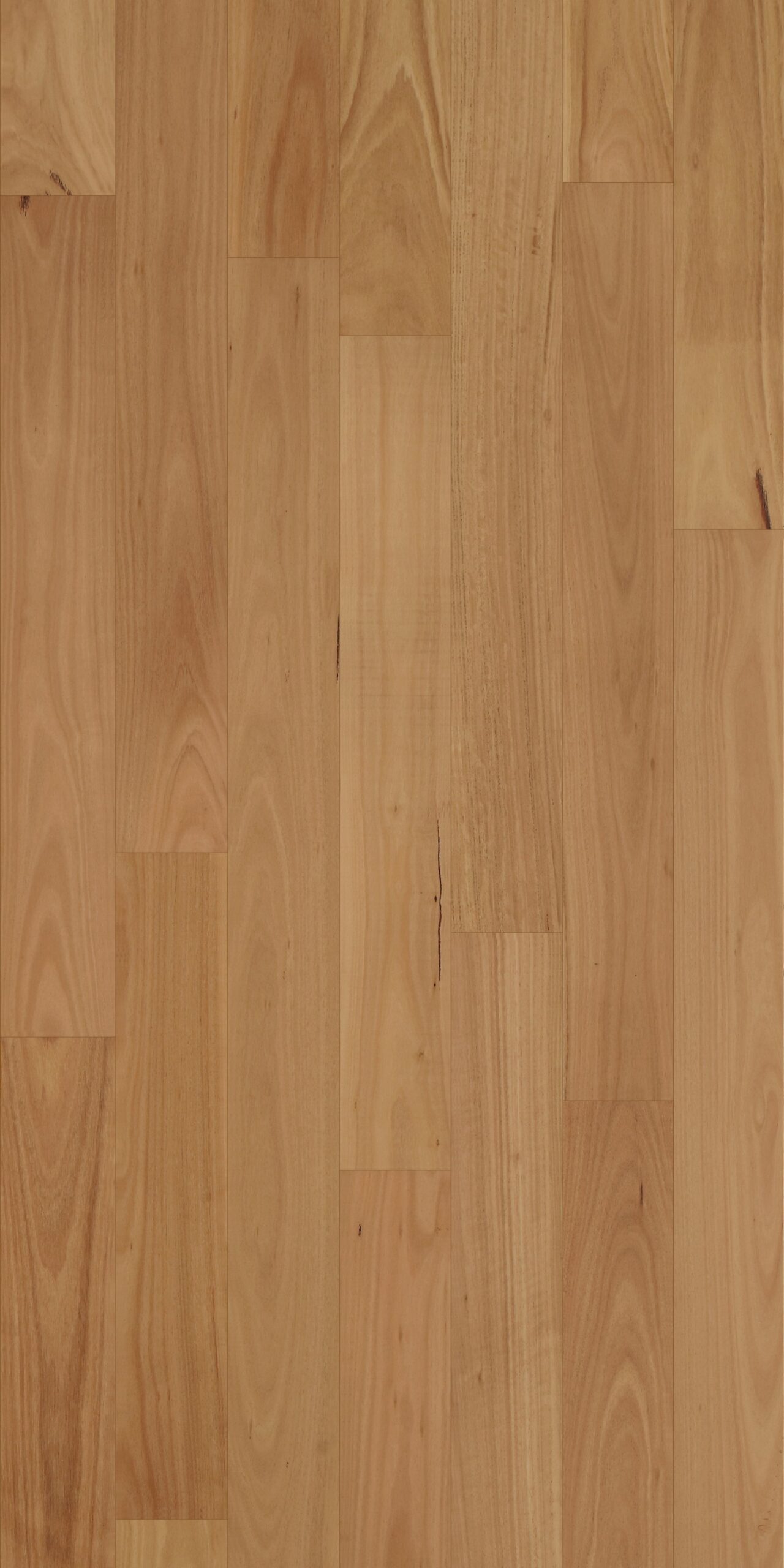 Swish Australian Hardwood Blackbutt Natural swatch