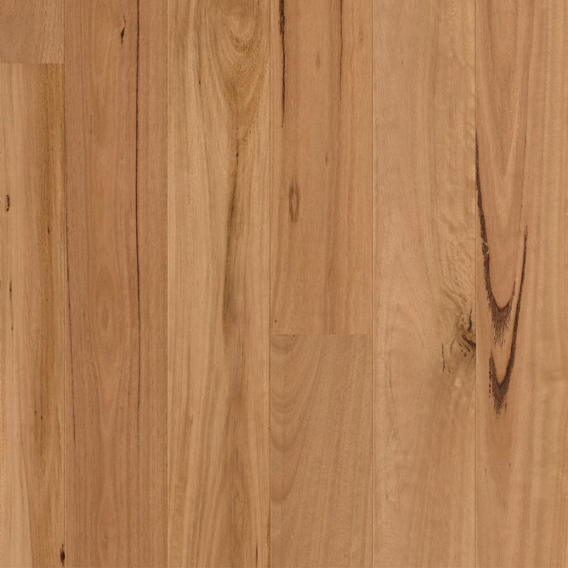 Quick-Step Cascada Blackbutt Oak
