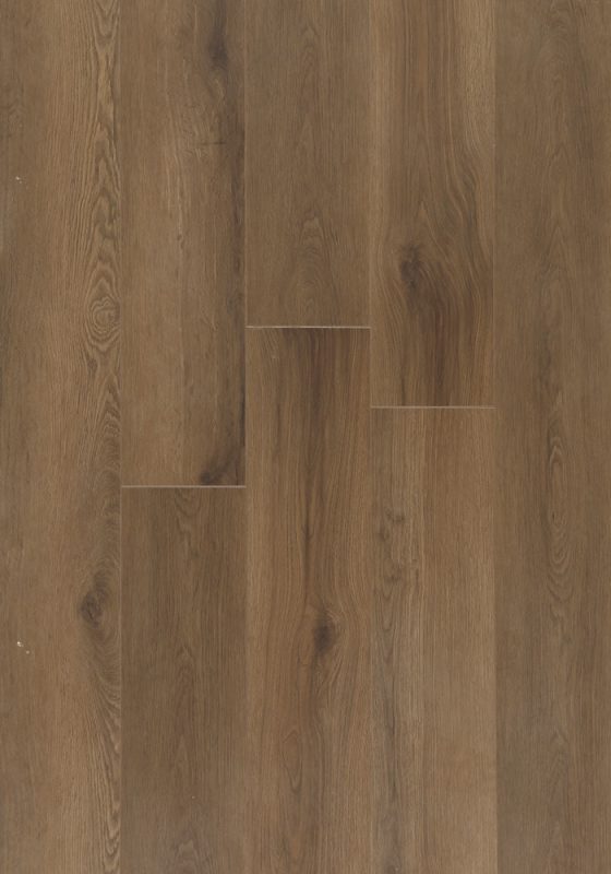 Montreal Oak swatch