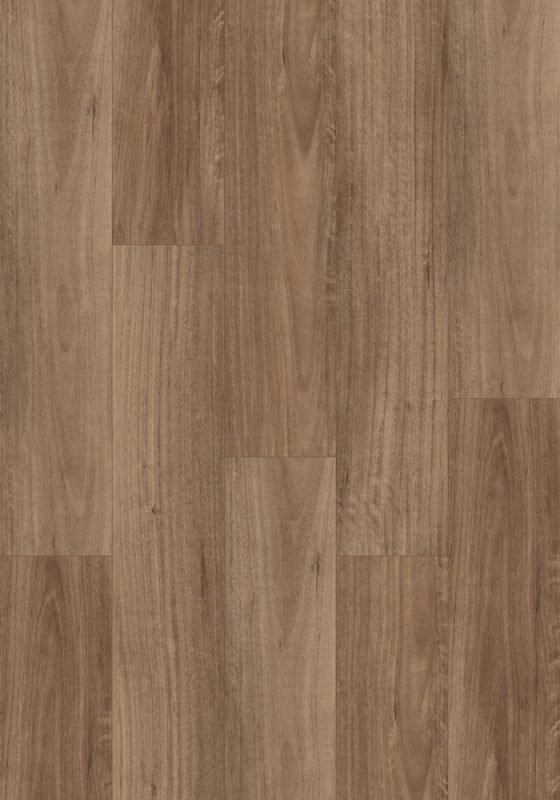 NSW Spotted Gum swatch