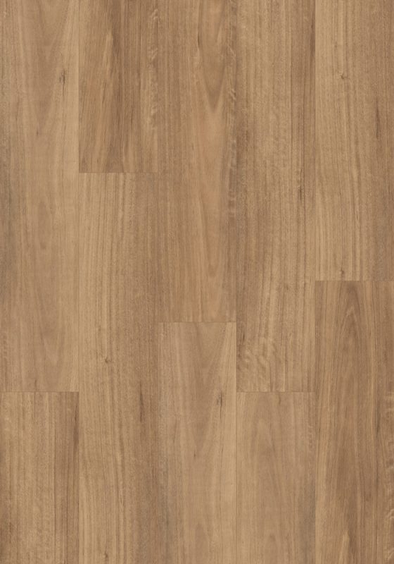 QLD Spotted Gum swatch
