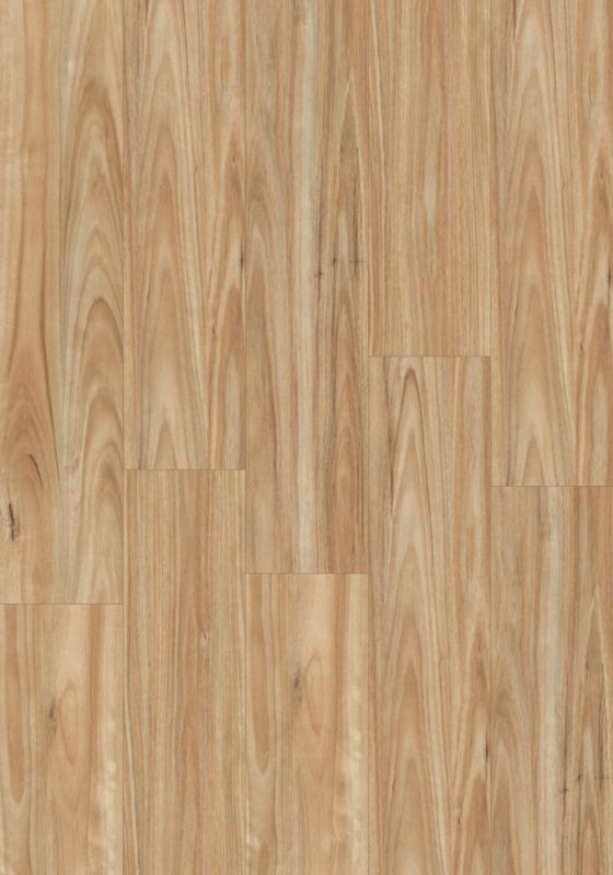 Smooth Blackbutt swatch